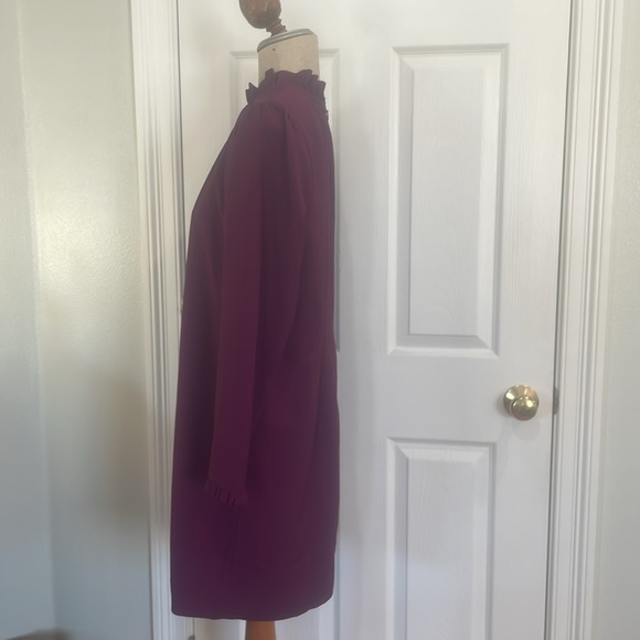 J Crew dress knee length ruffle high neck long sleeve zipper lined womens size 8 - Picture 10 of 13